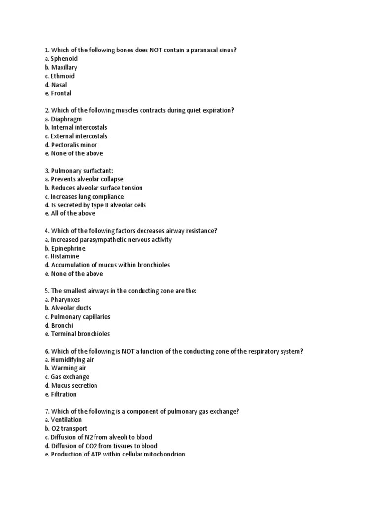 Respiratory Questions Respiratory System Lung
