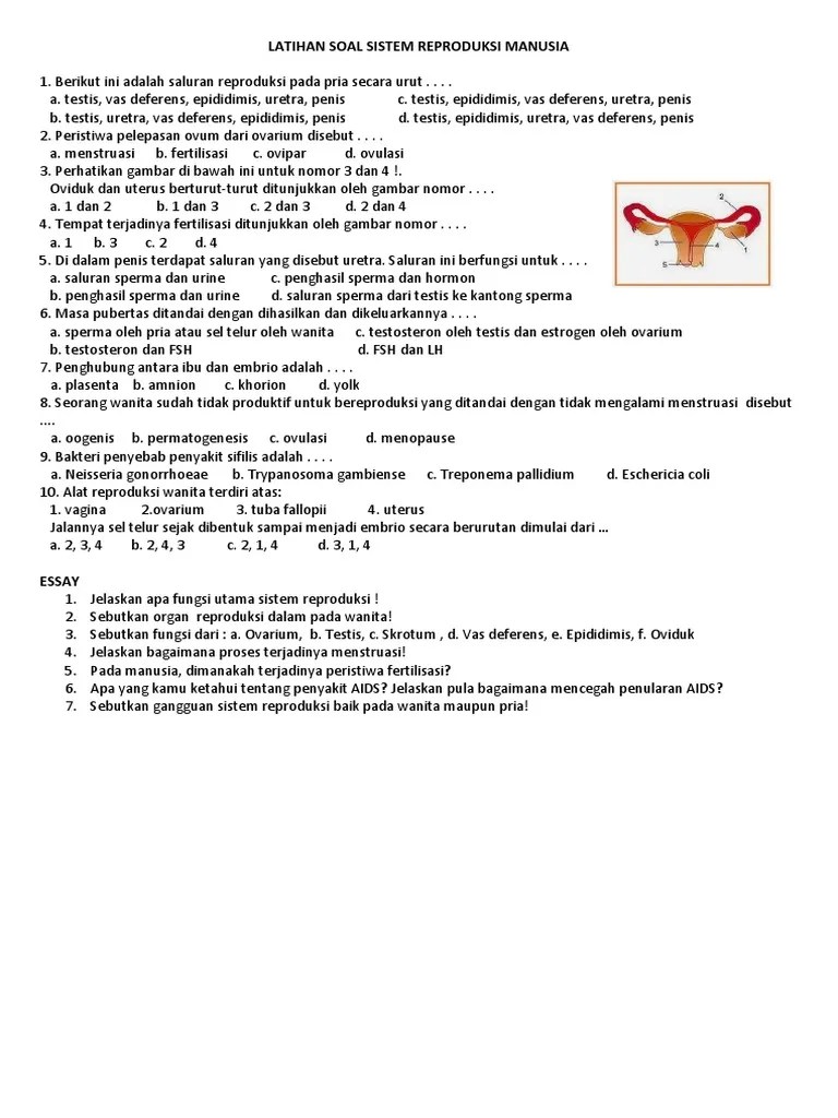 Latihan Soal Sistem Reproduksi Manusia | PDF