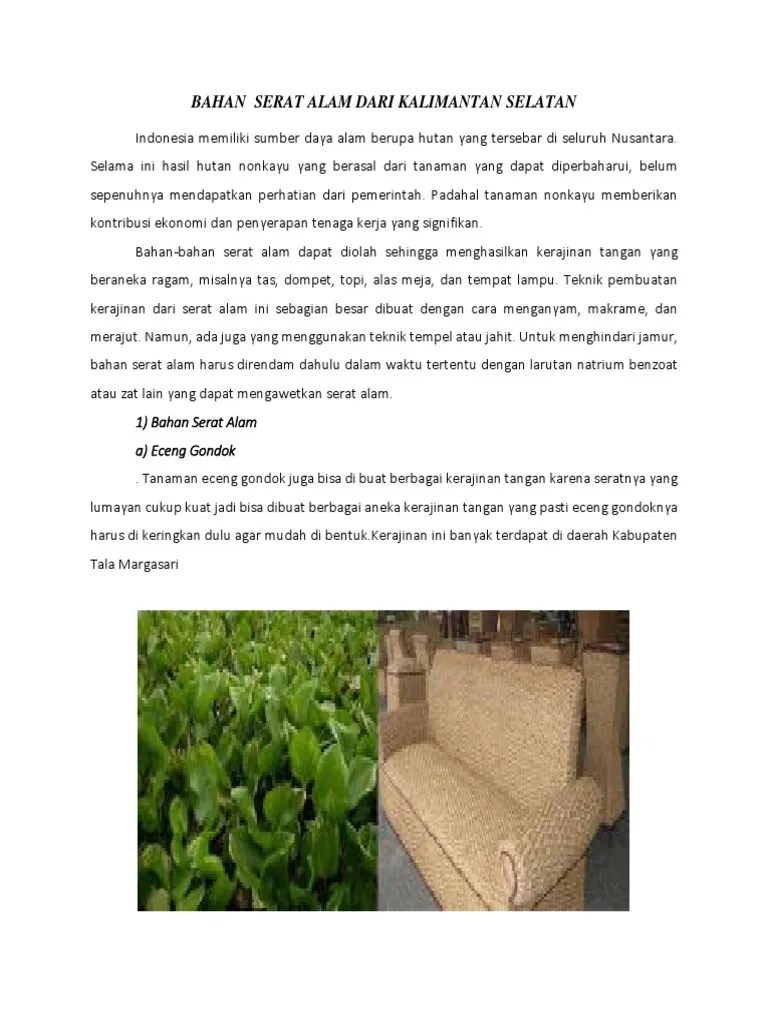 Bahan Serat Alam Dari Kalimantan Selata1