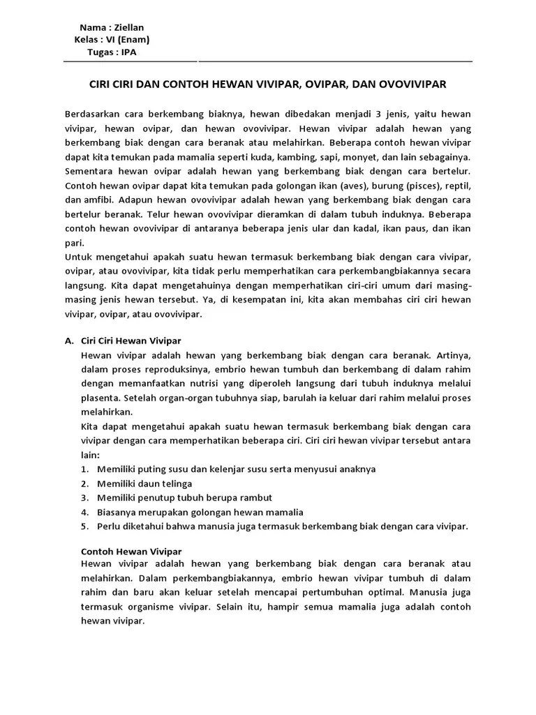 Ciri Ciri Hewan Melahirkan Dan Bertelur Ini Cirinya