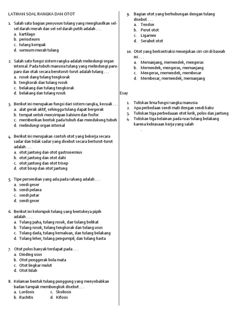 LATIHAN SOAL RANGKA DAN OTOT Kelas 8 | PDF