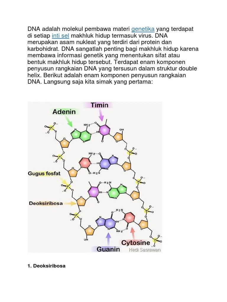 Ikatan Hidrogen Pada Struktur Tersebut Terdapat Pada Nomor Sebutkan