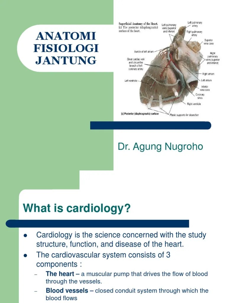 anatomi fisiologi jantung.ppt