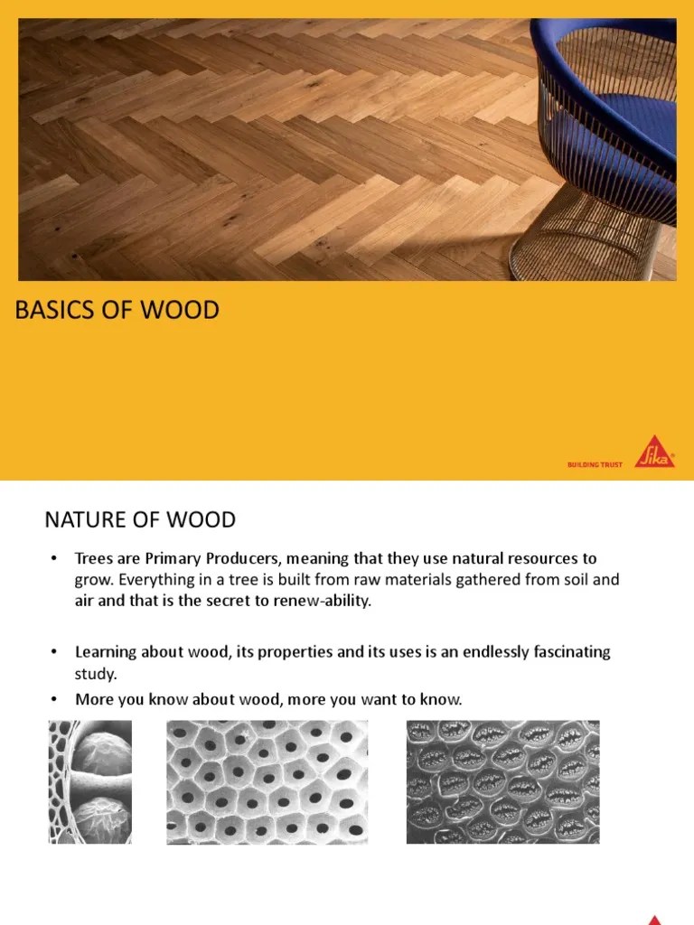Basics of Wood Wood Density