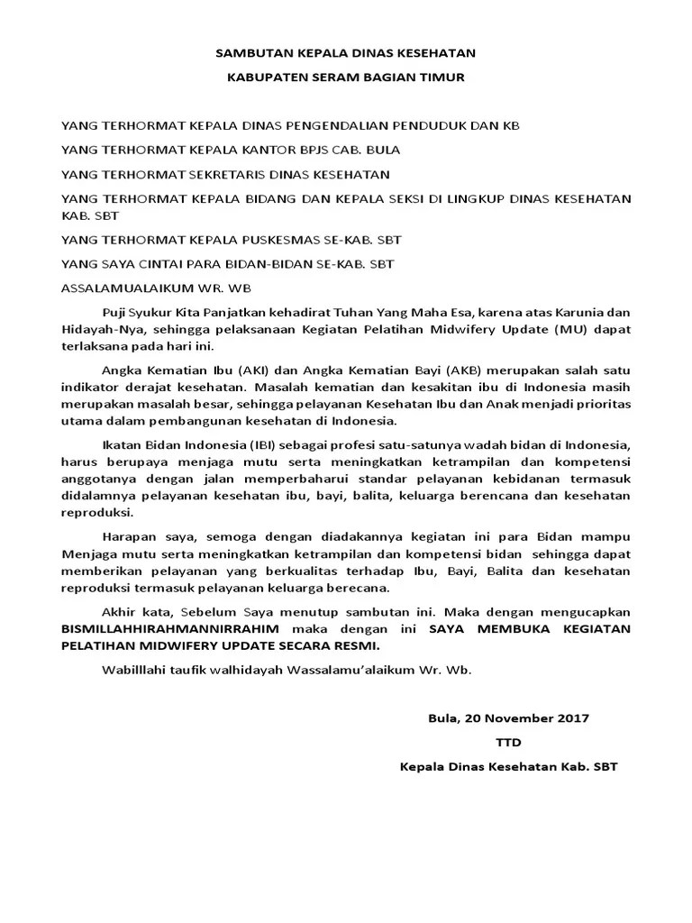 Sambutan Kepala Dinas Kesehatan | PDF