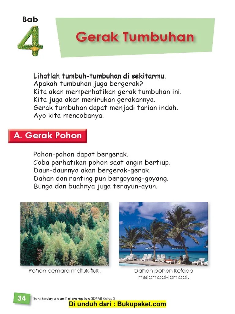 Bab 4 Gerak Tumbuhan