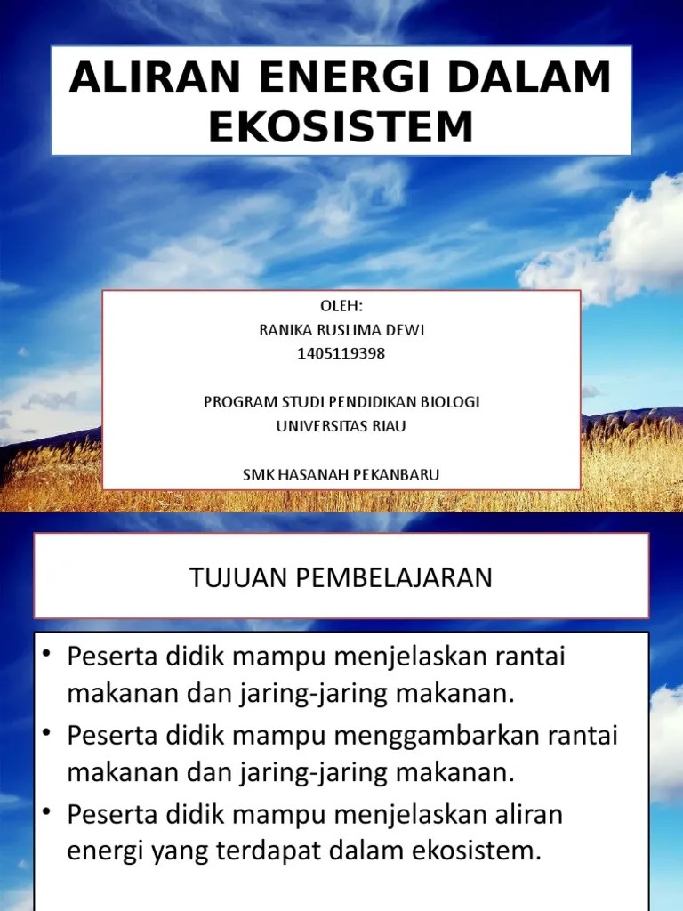 Aliran Energi Dalam Ekosistem