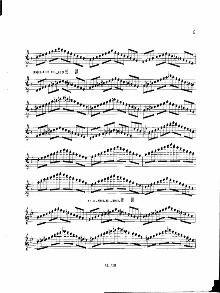 Taffanel179127032 Taffanel Gaubert 17 Big Daily Exercises PDF