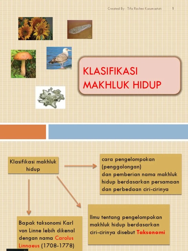 Download Soal Biologi Kelas 10 Tentang Klasifikasi Mahluk Hidup Pdf