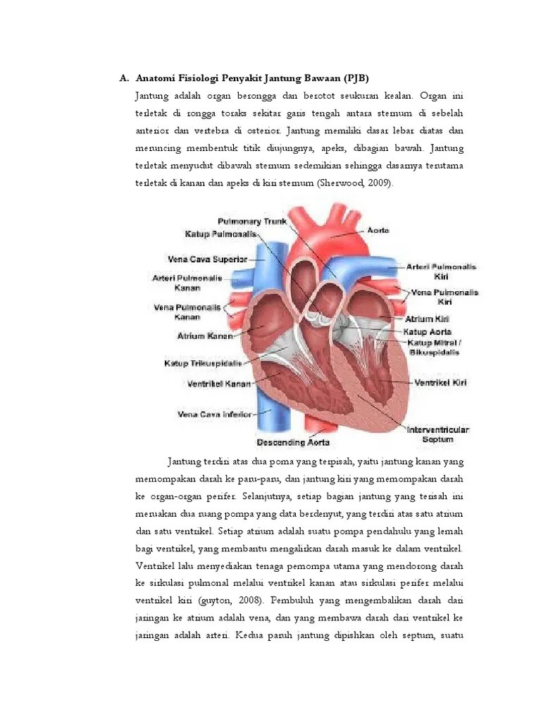 Laporan Pendahuluan Penyakit Jantung Bawaan