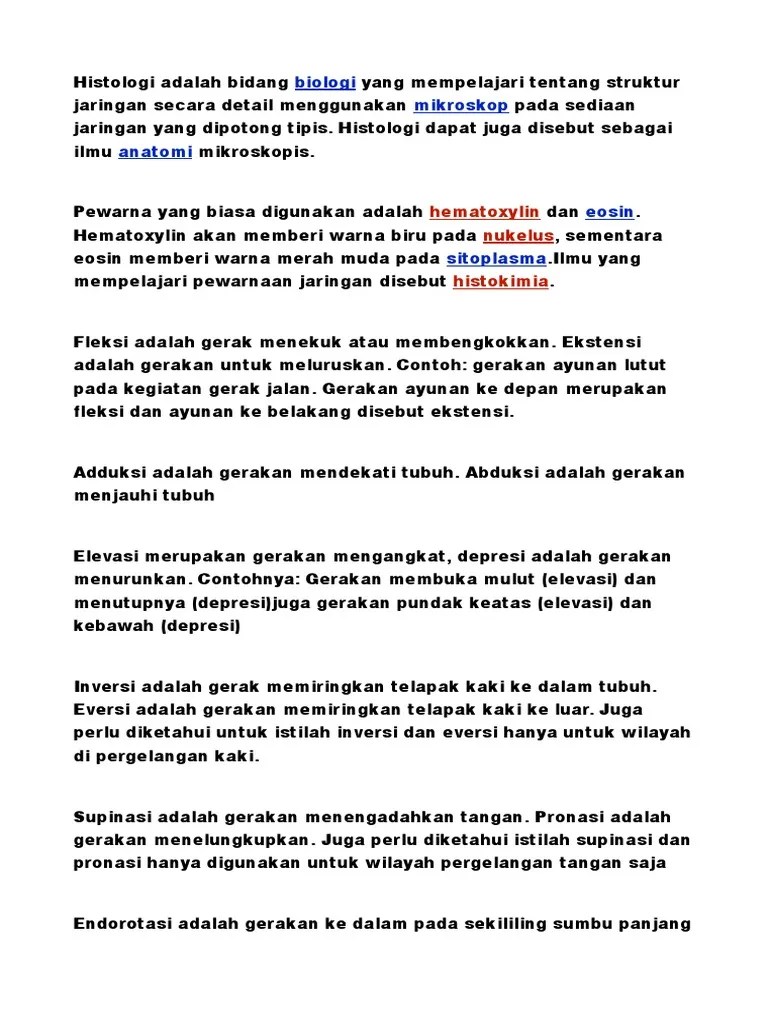 Aku Wanita Biasa | PDF