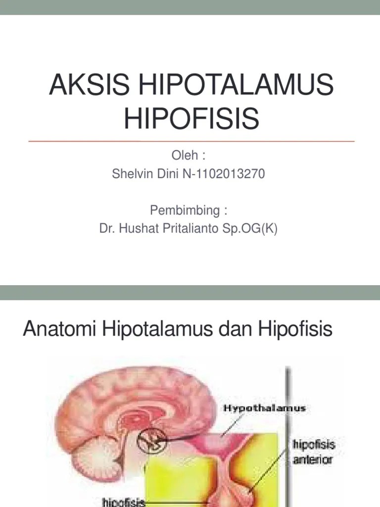 Aksis Hipotalamus Hipofisis | PDF