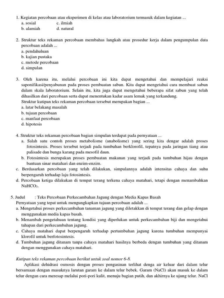 Contoh Teks Laporan Percobaan Jaringan Floem Guru Pendidikan
