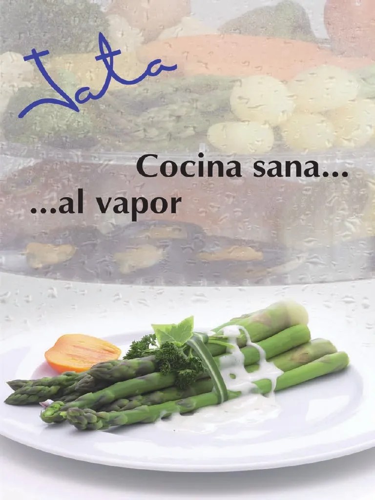 JATA recetario para cocinar al vapor.pdf Meat Coriander