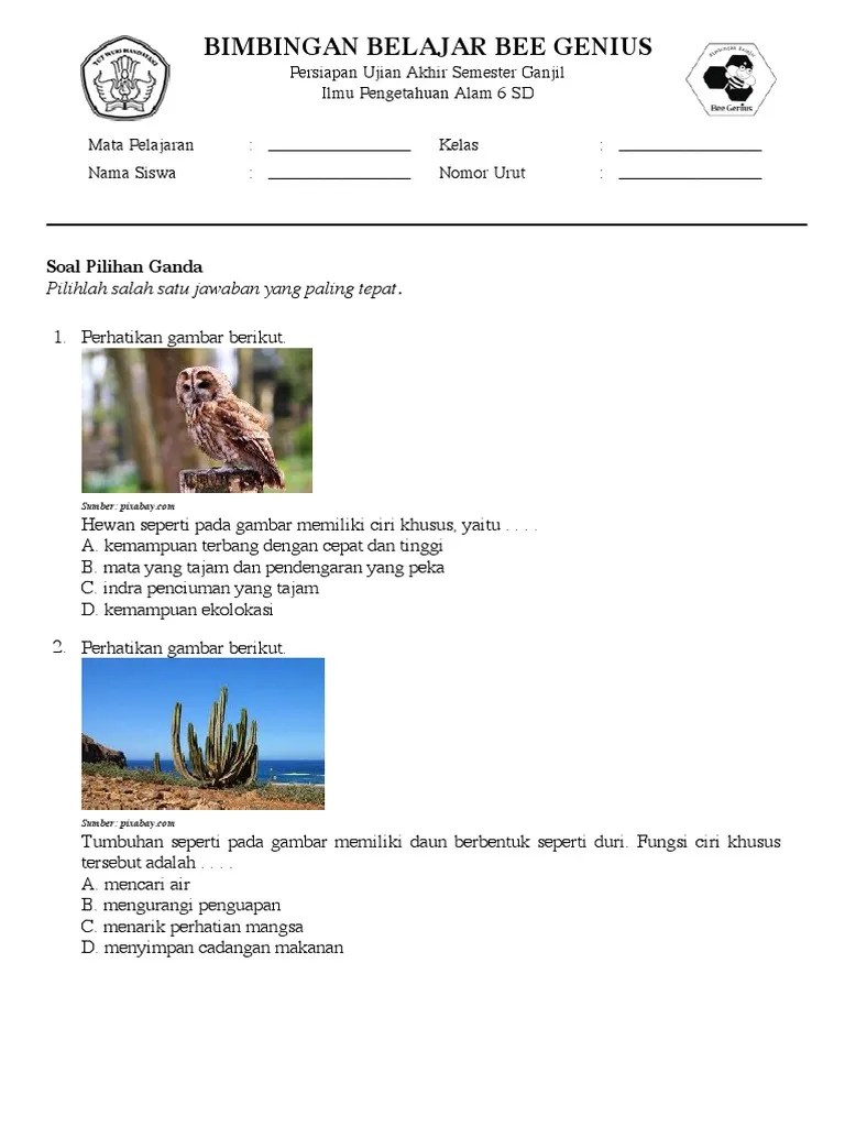 Soal Ulangan - Ciri-Ciri Khusus Makhluk Hidup-1 | PDF