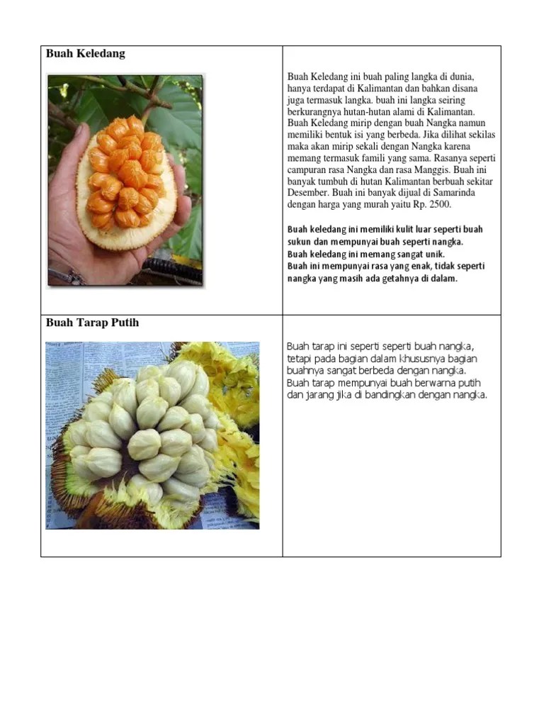 Bibit Buah Impian Com Ungaran Jawa Tengah Seputar Buah