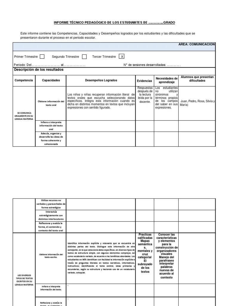 Formato Del Informe Técnico Pedagógico