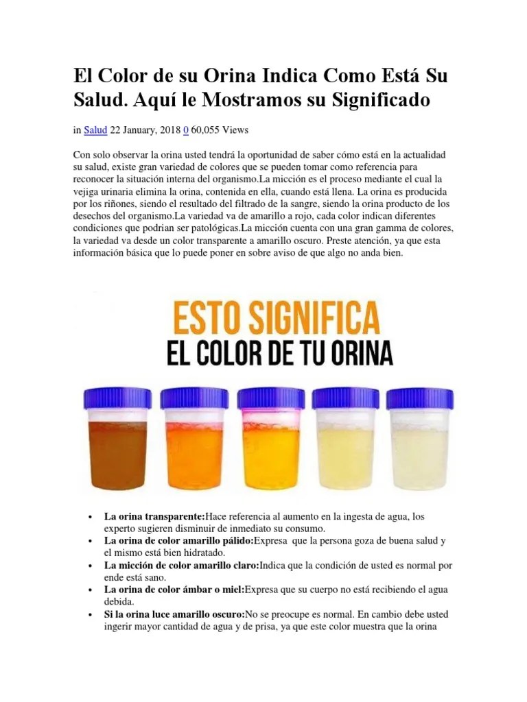 El Color de Su Orina Indica Como Está Su Salud Orina Sistema urinario