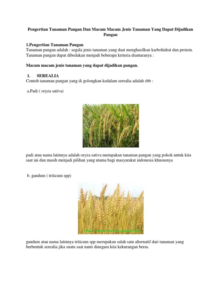 Jenis Jenis Tanaman Pangan Dan Contohnya