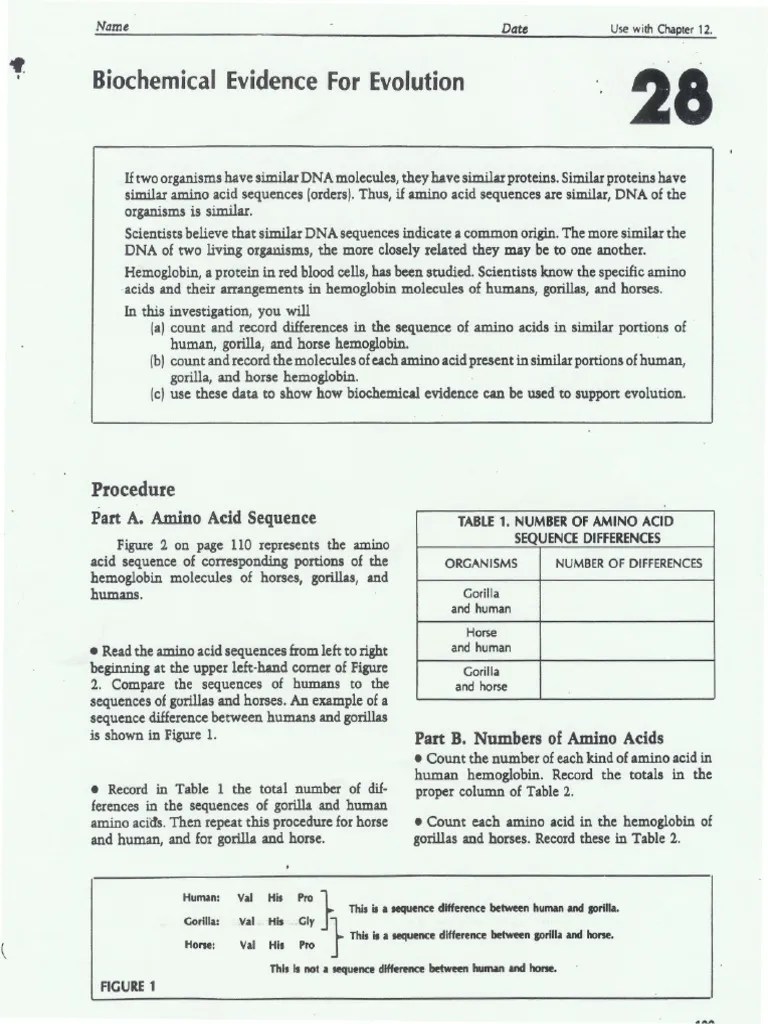 Biochemical Evidence For Evolution Lab PDF PDF Alanine Cysteine