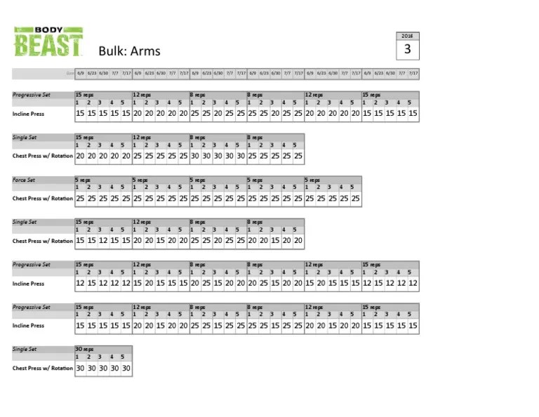 Sample Excel tracker for Body Beast Bulk Arms