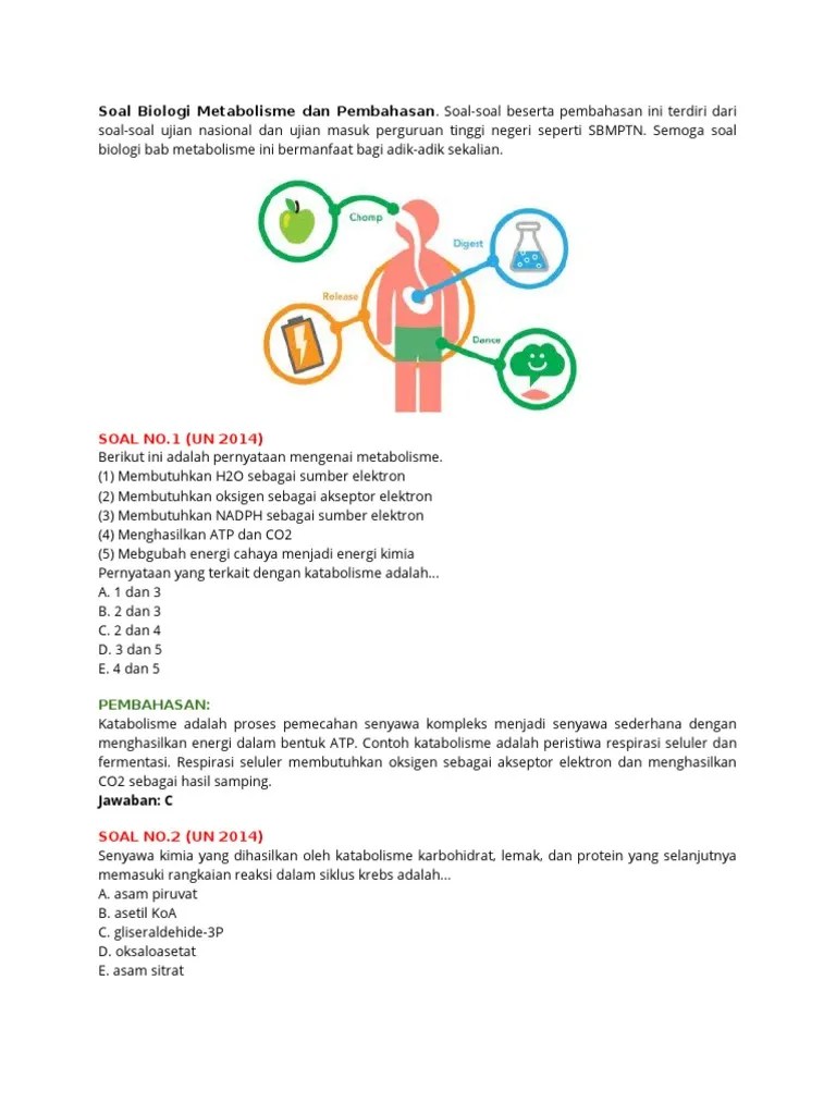 Soal Bio Metabolisme Dan Pembhsn | PDF