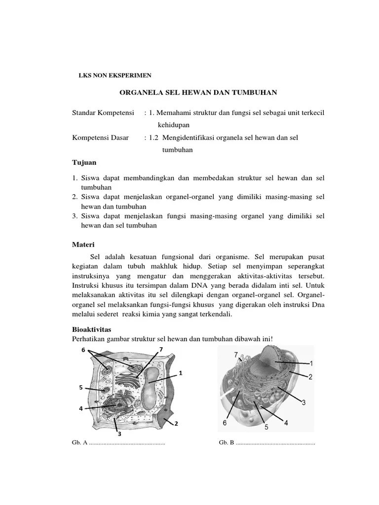 LKS Sel Tumbuhan Dan Hewan | PDF