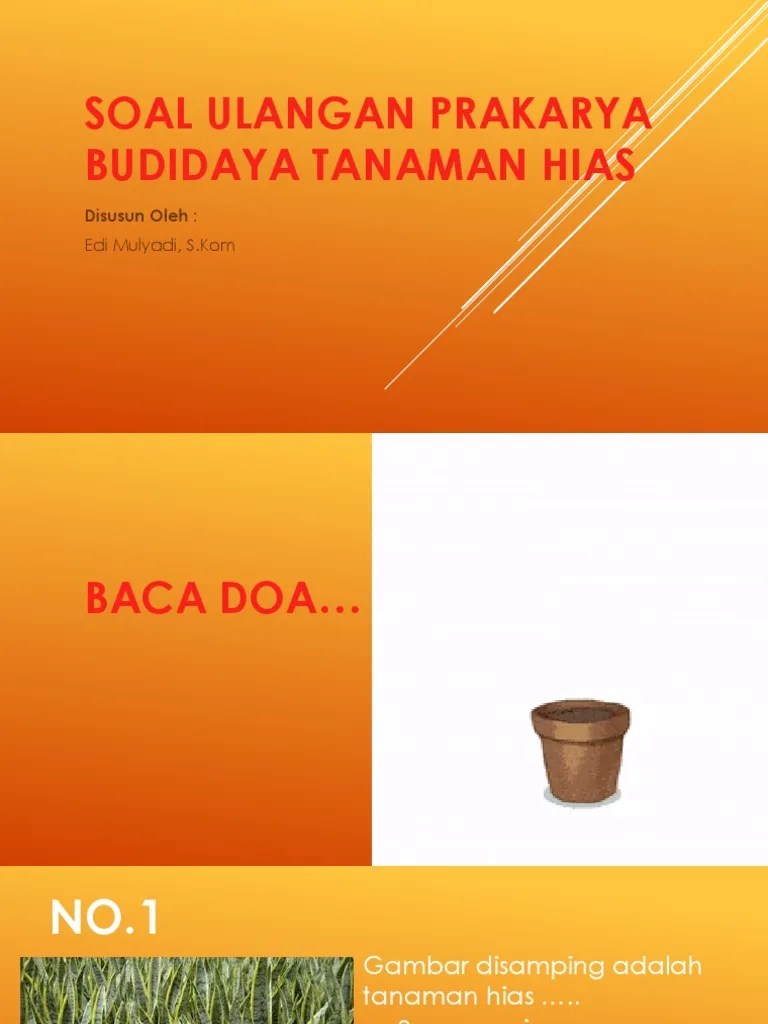 Soal Ulangan Prakarya Budidaya Tanaman Hias x