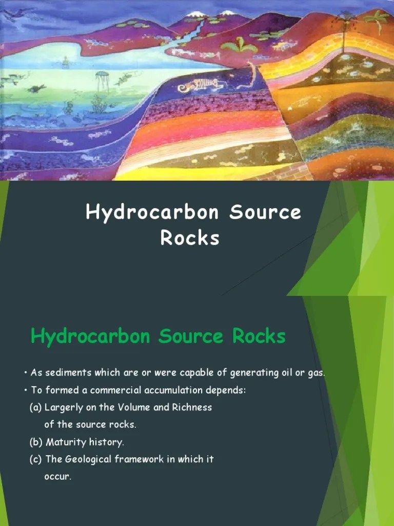 02b Hydrocarbon Source Rocks.pptx Sedimentary Rock Rock (Geology)