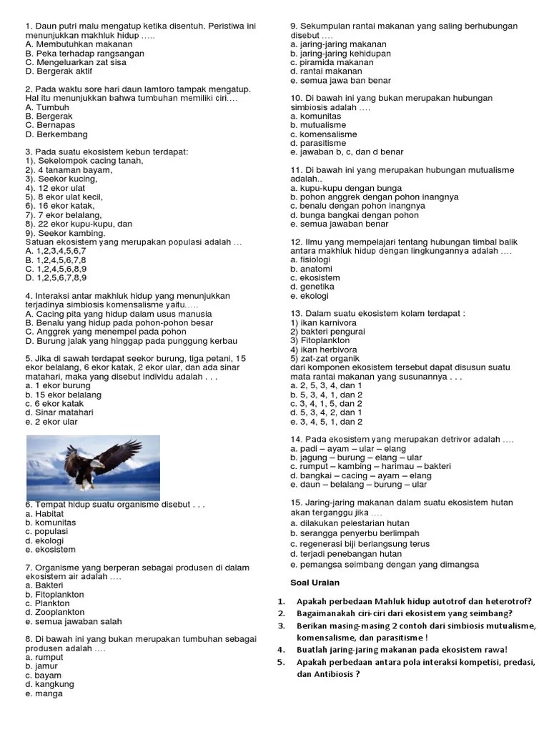 Soal Tentang Simbiosis – Sedang