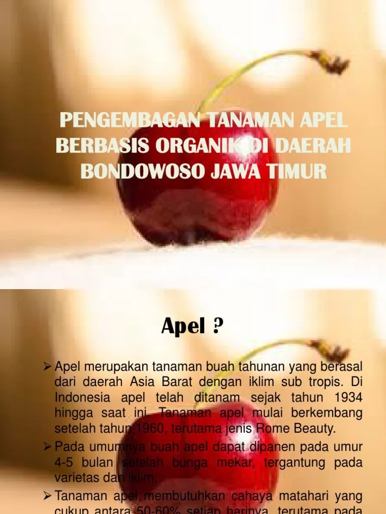 Pengembagan Tanaman Apel Berbasis Organik Di Daerah Bondowoso (Ayu) | PDF
