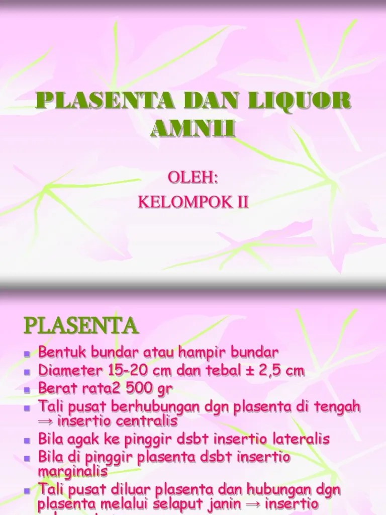 Plasenta Dan Liquor Amnii PDF