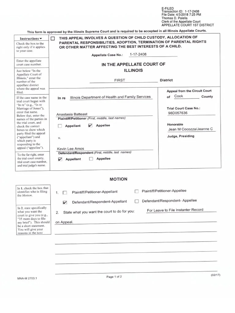 Appeal Motion For Leave To File Instanter Record On Appeal PDF PDF