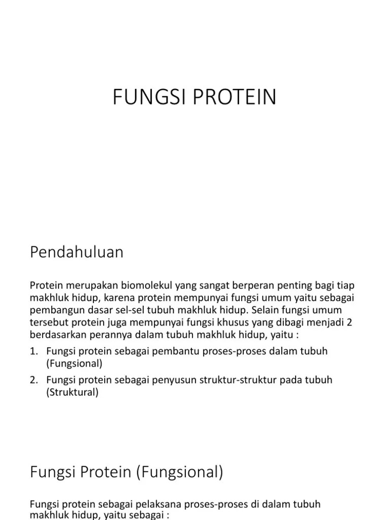 Fungsi Protein | PDF