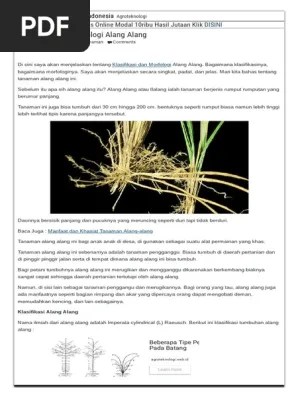 Klasifikasi Dan Morfologi Alang Alang - Infomasi Ilmu Pertanian Indonesia |  PDF