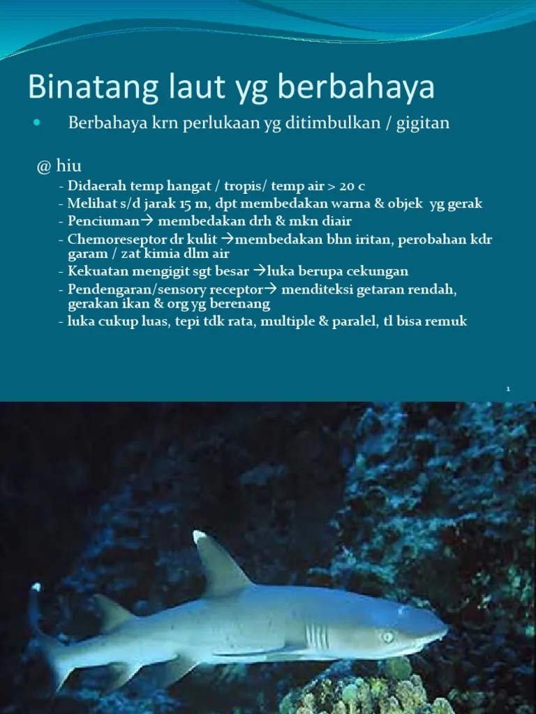 18 Binatang Laut Berbahaya | PDF