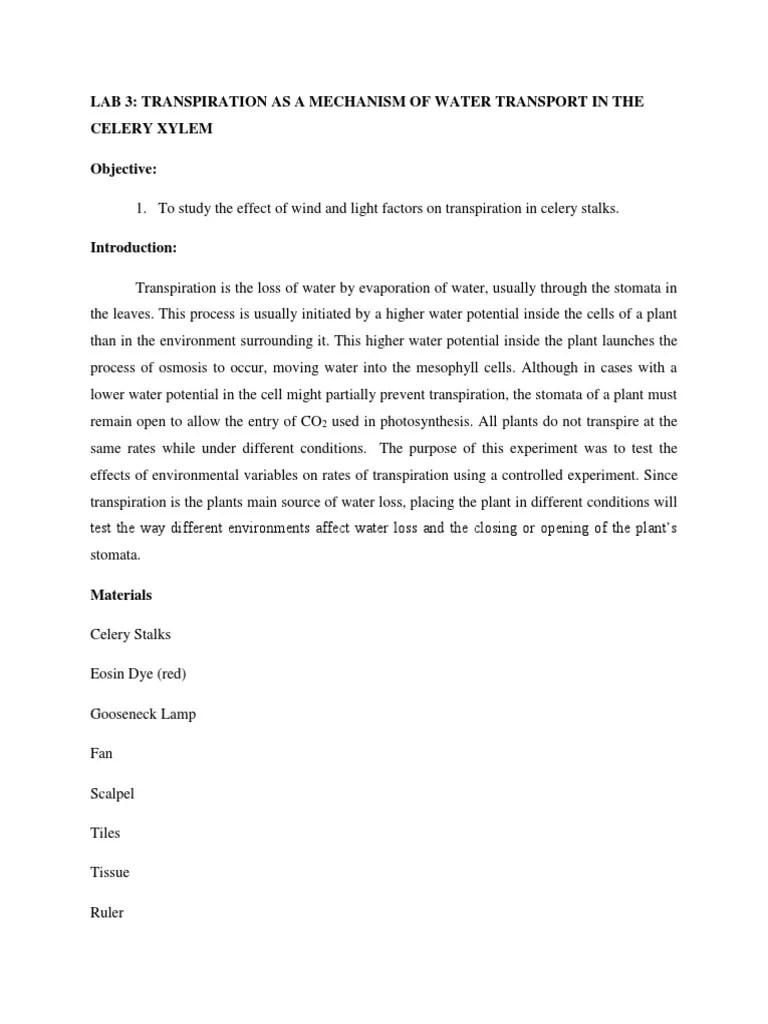 Lab 3 Transpiration As A Mechanism of Water Transport in The Celery