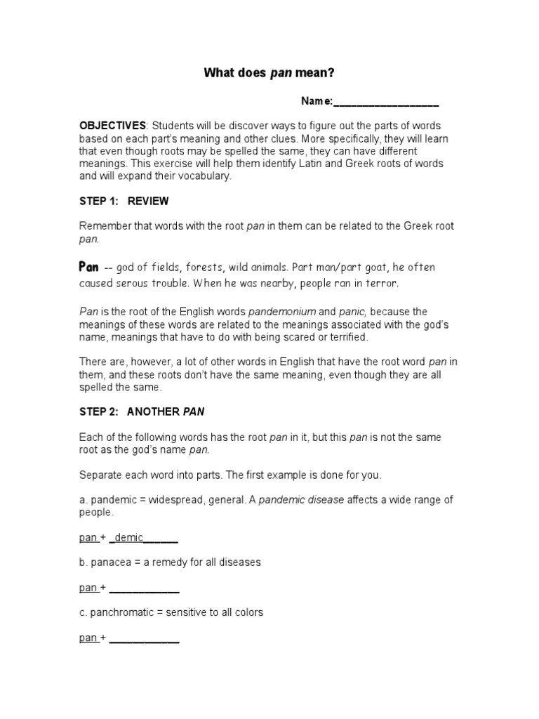 What Does Pan Mean PDF