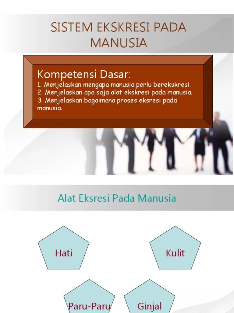 SISTEM EKSKRESI PADA MANUSIA.ppt
