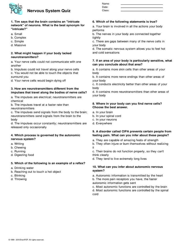 nervous system quiz Nervous System Neuron
