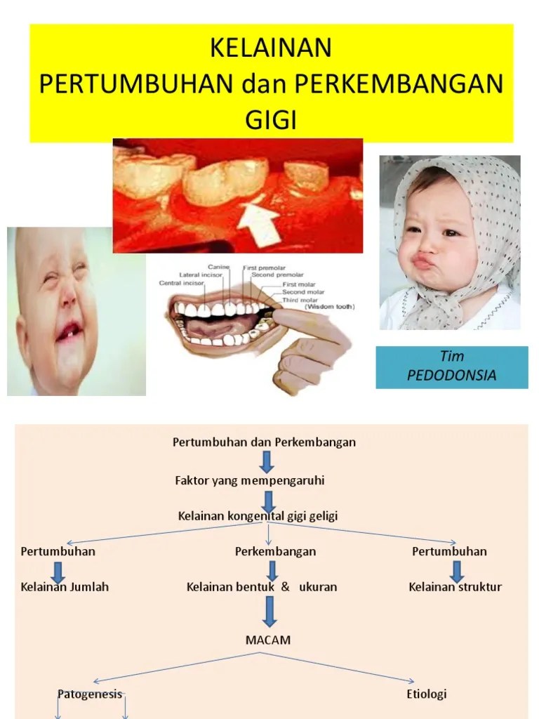 Kelainan Bentuk Gigi Pada Pertumbuhan Dan Perkembangan | PDF