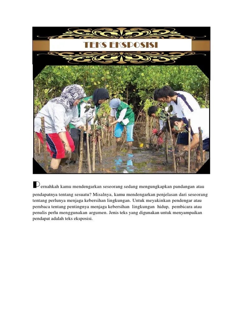 Contoh Teks Eksposisi Tentang Buah Naga Berbagai Contoh