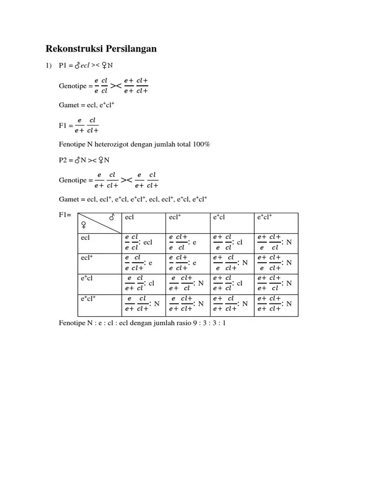 Rekonstruksi Persilangan