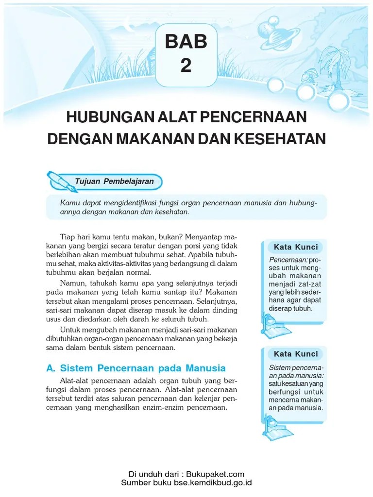 Sebutkan Nama Enzim Enzim Yang Berfungsi Dalam Sistem Pencernaan