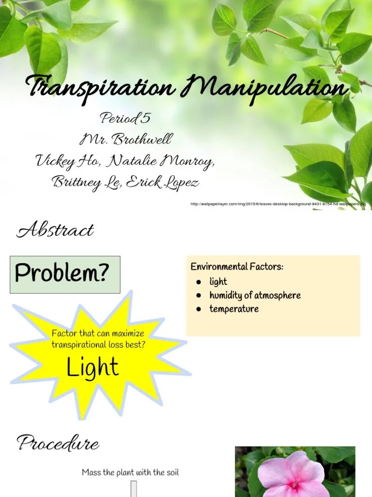 Lab Bench Transpiration BENCH