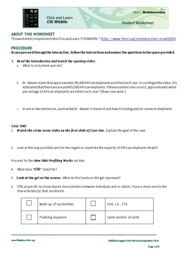 CSI Wildlife Worksheet1 PDF Dna Profiling Microsatellite