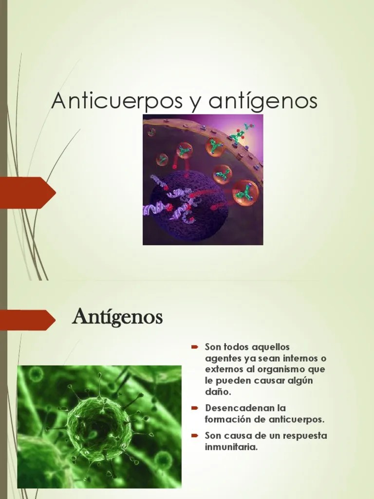 Antigenos y Anticuerpos Antígeno Anticuerpo