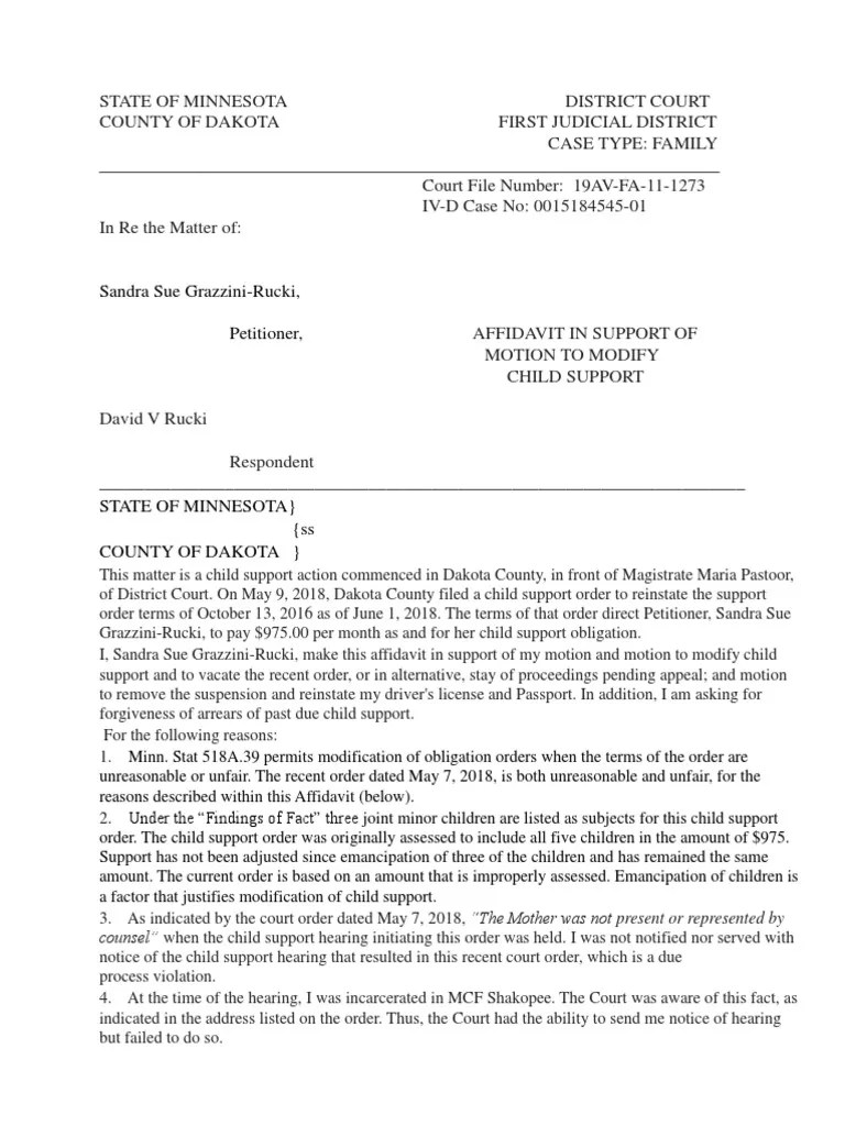 Child Support Motion Child Support Due Process