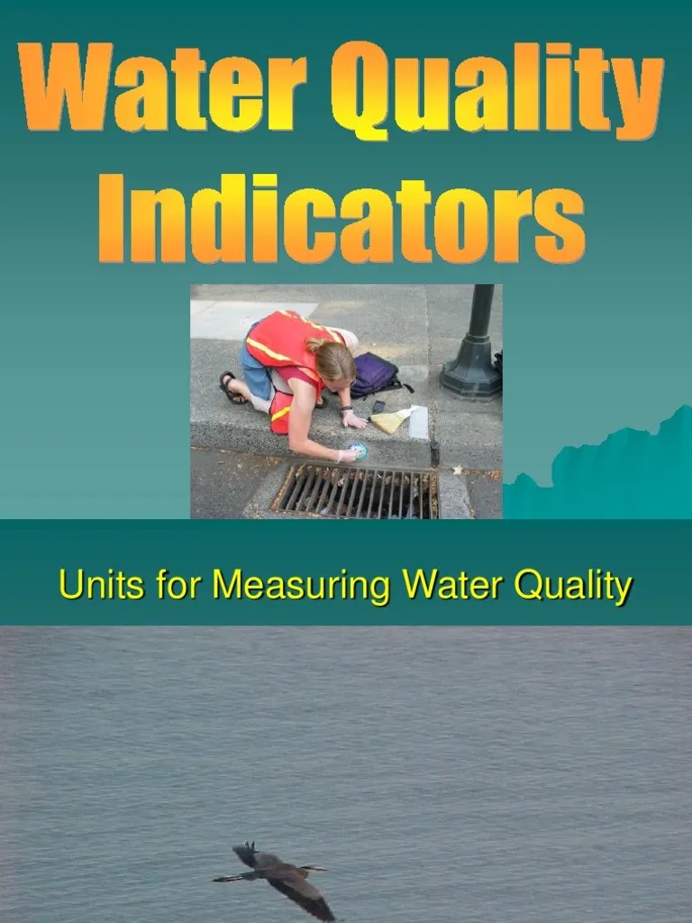 Water Quality Indicators PDF Aquatic Ecosystem Alkalinity