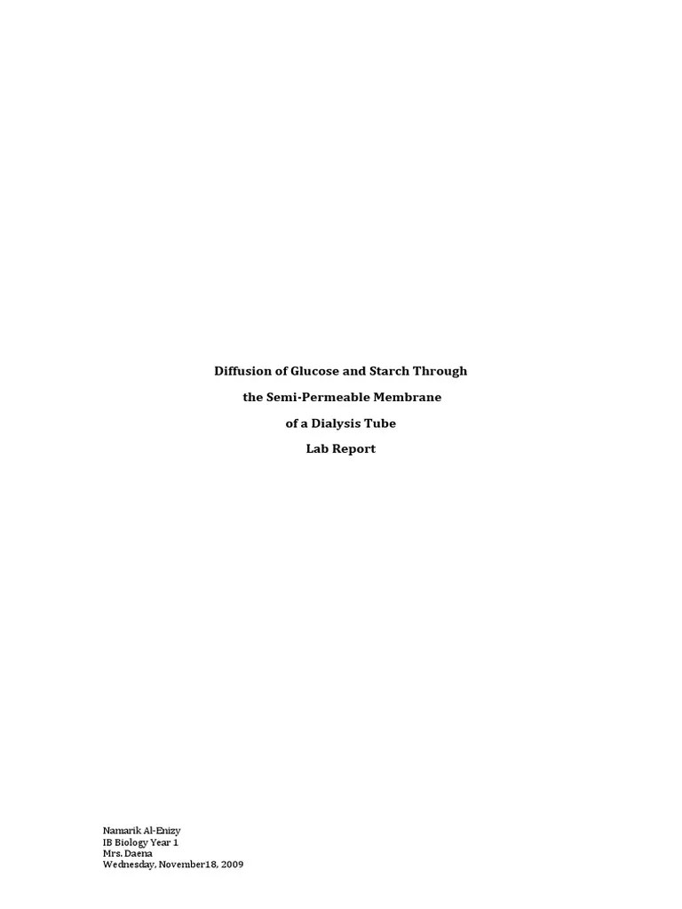 Diffusion Lab Report